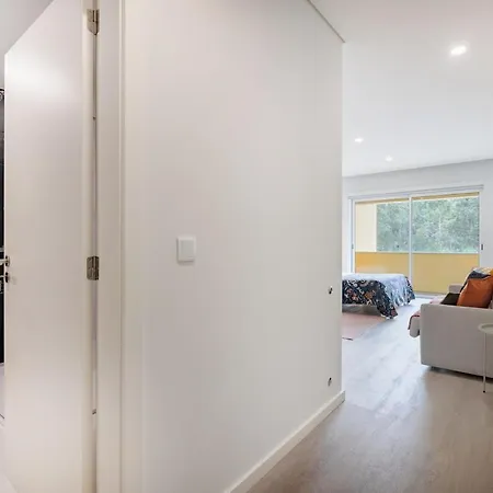 公寓 Furadouro Pine & Sea With Swimming Pool 1 *